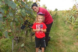 Vendange en famille au Clos basté
