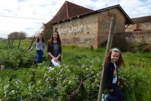 Famille Mur du Clos Basté