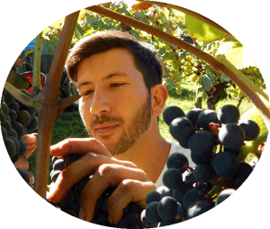 Andréas collaborateur et jeune vigneron