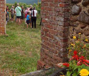 Un apéro vigneron bio à la découverte de la culture biologique